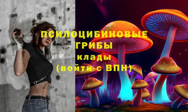a pvp Ладушкин