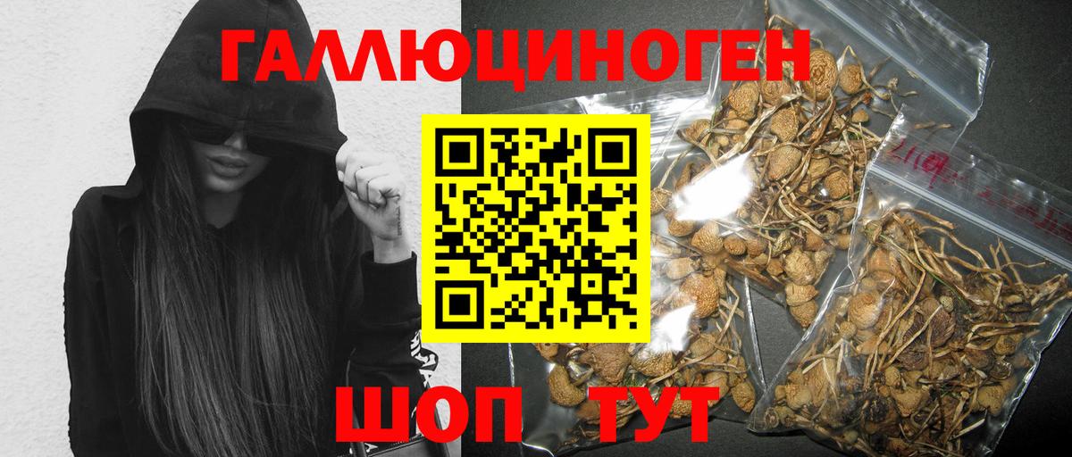 Галлюциногенные грибы Psilocybe Феодосия