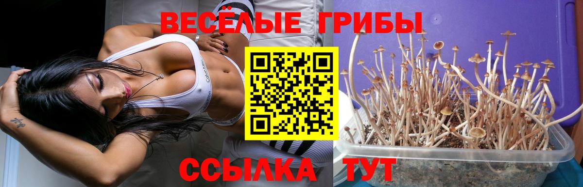 Галлюциногенные грибы MAGIC MUSHROOMS  Вход с VPN  Галлюциногенные грибы MAGIC MUSHROOMS  купить закладку  Феодосия 