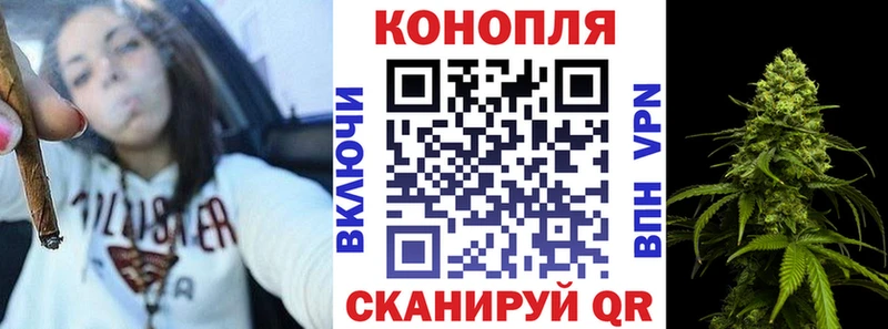 наркотики  Феодосия  Каннабис сатива 